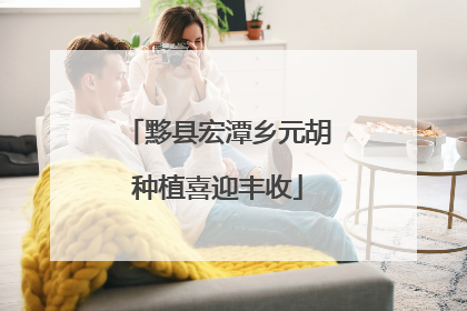 黟县宏潭乡元胡种植喜迎丰收