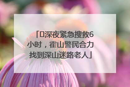 ﻿深夜紧急搜救6小时，霍山警民合力找到深山迷路老人