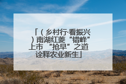 （乡村行·看振兴）南湖红菱“错峰”上市 “抢早”之道诠释农业新生