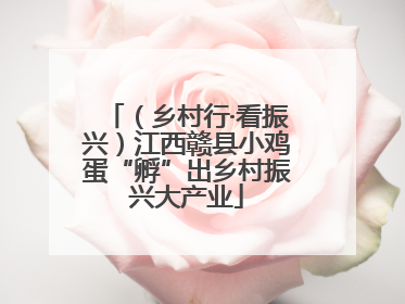 （乡村行·看振兴）江西赣县小鸡蛋“孵”出乡村振兴大产业