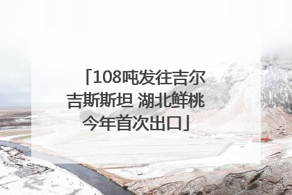 108吨发往吉尔吉斯斯坦 湖北鲜桃今年首次出口