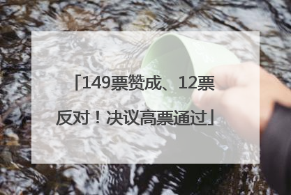 149票赞成、12票反对！决议高票通过