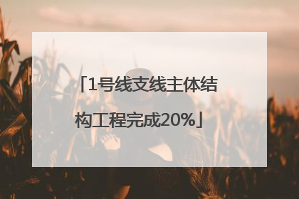 1号线支线主体结构工程完成20%