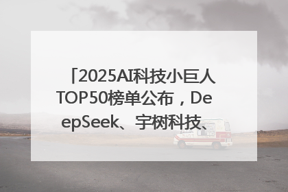 2025AI科技小巨人TOP50榜单公布，DeepSeek、宇树科技、蘑菇车联等企业荣誉上榜