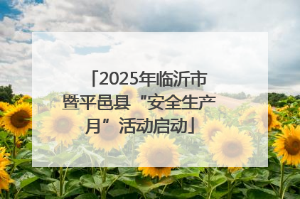 2025年临沂市暨平邑县“安全生产月”活动启动