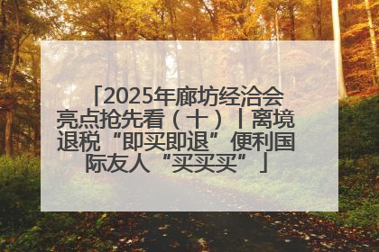 2025年廊坊经洽会亮点抢先看（十）丨离境退税“即买即退”便利国际友人“买买买”