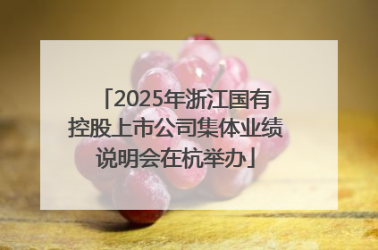 2025年浙江国有控股上市公司集体业绩说明会在杭举办