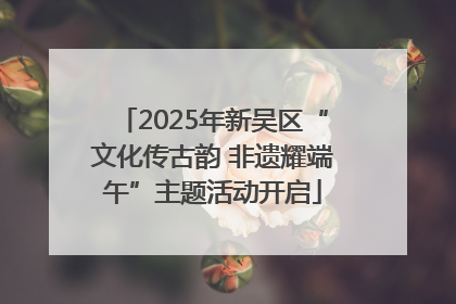 2025年新吴区“文化传古韵 非遗耀端午”主题活动开启