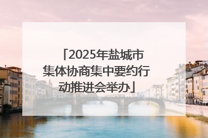 2025年盐城市集体协商集中要约行动推进会举办