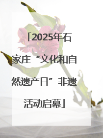2025年石家庄“文化和自然遗产日”非遗活动启幕