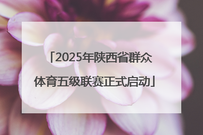 2025年陕西省群众体育五级联赛正式启动