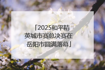 2025和平精英城市赛总决赛在岳阳市圆满落幕