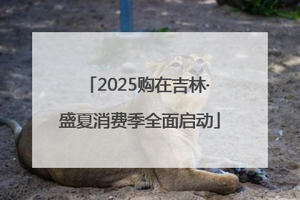 2025购在吉林·盛夏消费季全面启动
