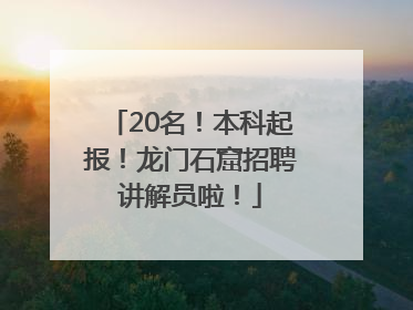 20名！本科起报！龙门石窟招聘讲解员啦！