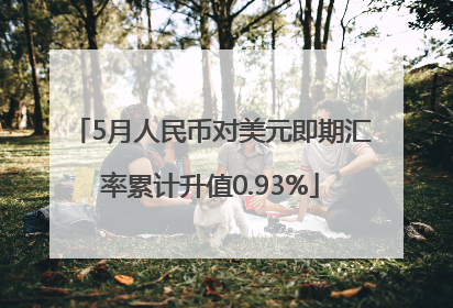 5月人民币对美元即期汇率累计升值0.93%