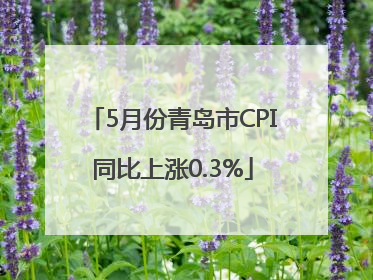 5月份青岛市CPI同比上涨0.3%