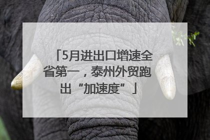 5月进出口增速全省第一，泰州外贸跑出“加速度”