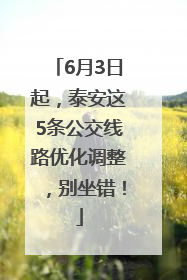 6月3日起，泰安这5条公交线路优化调整，别坐错！