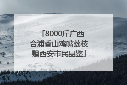 8000斤广西合浦香山鸡嘴荔枝赠西安市民品鉴