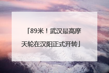 89米！武汉最高摩天轮在汉阳正式开转