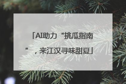 AI助力“挑瓜指南”，来江汉寻味甜夏