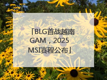 BLG首战越南GAM，2025MSI赛程公布