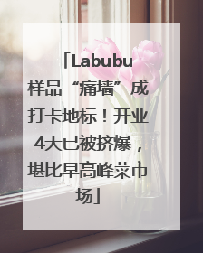 Labubu样品“痛墙”成打卡地标！开业4天已被挤爆，堪比早高峰菜市场